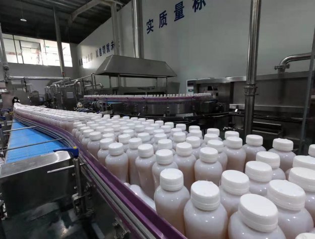 紅茶菌飲品生產車間